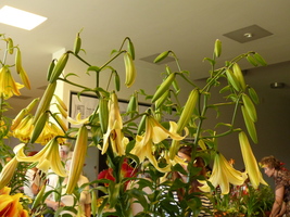 Foto: Dr. Peter Müller